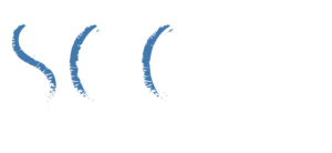 Education | Exhibition | Performance